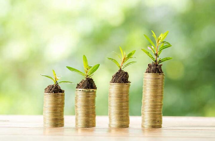 plants growing from coins