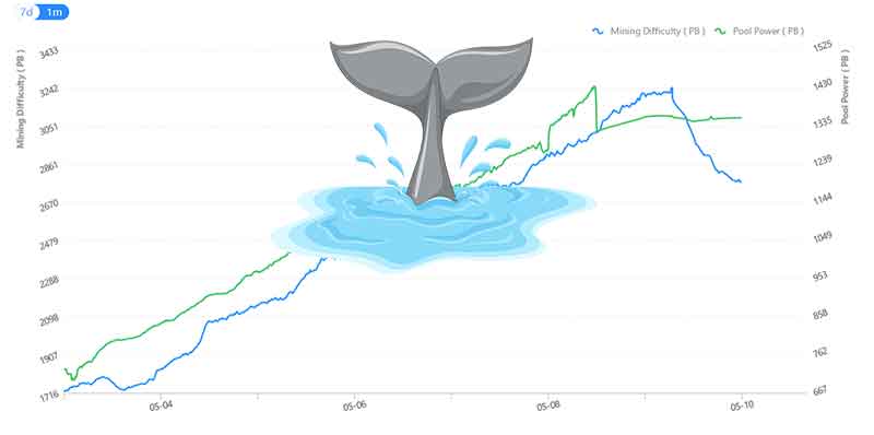 hpool pool size with a whale illustrating the drop of power